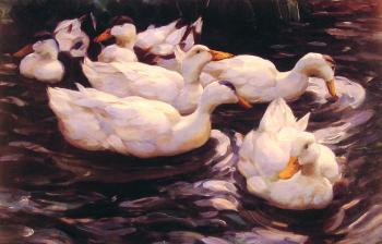 亞歷山大 凱斯特 Six Ducks in the Pond